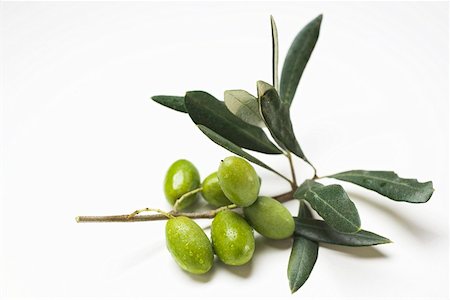 Brin d'olive aux olives vertes Photographie de stock - Premium Libres de Droits, Code: 659-01861972