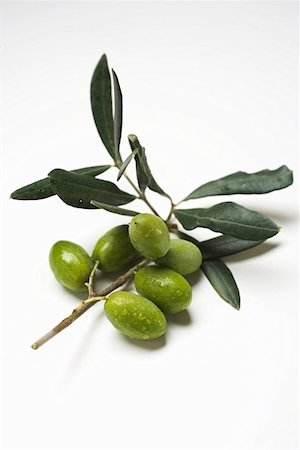 Olive sprig with green olives Foto de stock - Sin royalties Premium, Código: 659-01861973