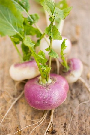 Several turnips Foto de stock - Sin royalties Premium, Código: 659-01862021