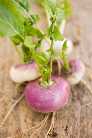 early turnip - Several turnips Stock Photo - Premium Royalty-Free, Code: 659-01862021