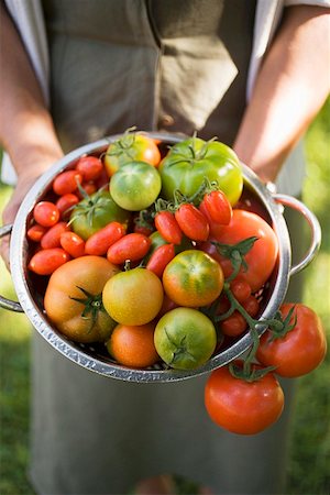 seiher - Frau hält Sieb voll von verschiedenen Arten von Tomaten Stockbilder - Premium RF Lizenzfrei, Bildnummer: 659-01863455