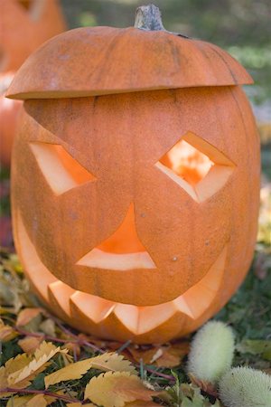 pumpkin garden - Pumpkin lantern in garden (close- up) Stock Photo - Premium Royalty-Free, Code: 659-02214140