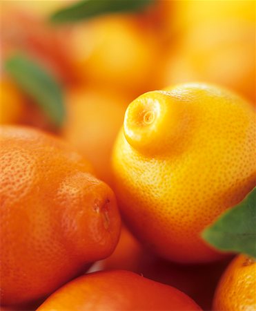 fruit mandarin - Several mandarin oranges with leaves (full-frame) Stock Photo - Premium Royalty-Free, Code: 659-02210787