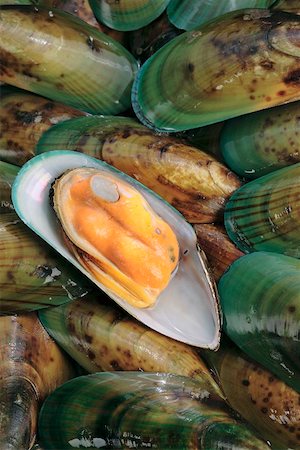 shellfish - New Zealand mussels Stock Photo - Premium Royalty-Free, Code: 659-02211398