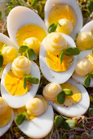 Hard-boiled eggs with mayonnaise on radish sprouts Foto de stock - Sin royalties Premium, Código: 659-02211594