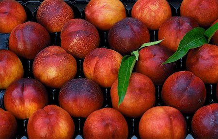 Nectarines in a crate Stock Photo - Premium Royalty-Free, Code: 659-02211596