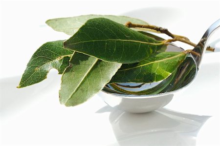 Fresh bay leaves in a ladle Stock Photo - Premium Royalty-Free, Code: 659-02211666