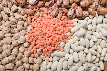 pulse still life - Borlotti beans, white beans, chick-peas and red lentils Stock Photo - Premium Royalty-Free, Code: 659-02212188
