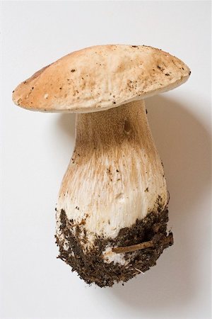 porcini mushroom - Fresh cep with soil Stock Photo - Premium Royalty-Free, Code: 659-02212197