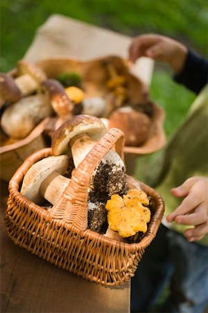 porcini mushroom - Small boy with baskets full of mushrooms in a wood Stock Photo - Premium Royalty-Free, Code: 659-02212224