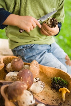 Boy cleaning ceps in a wood Stock Photo - Premium Royalty-Free, Code: 659-02212225