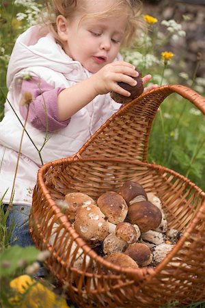 porcini mushroom - Small girl putting a cep into a basket Stock Photo - Premium Royalty-Free, Code: 659-02212220