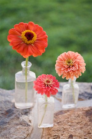 simsearch:659-03524278,k - Three summer flowers in glass bottles on stone wall Stock Photo - Premium Royalty-Free, Code: 659-02212333
