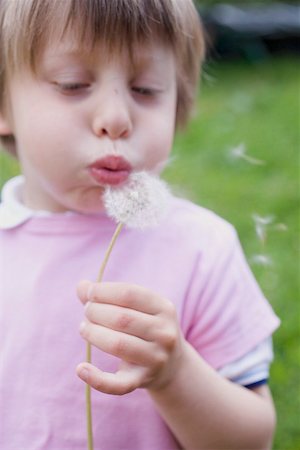 dandelion clock - Child blowing a dandelion clock Stock Photo - Premium Royalty-Free, Code: 659-02212348