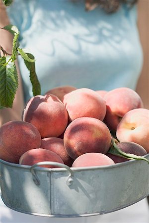 simsearch:659-01864546,k - Woman holding fresh peaches in metal container Stock Photo - Premium Royalty-Free, Code: 659-02212624