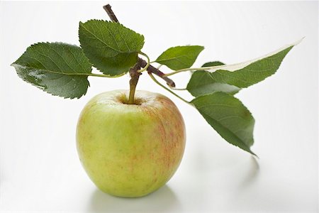 Apple with stalk and leaves Stock Photo - Premium Royalty-Free, Code: 659-02213012