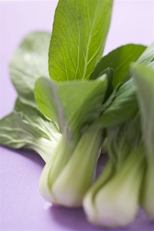 pak choi - Fresh pak choi Stock Photo - Premium Royalty-Free, Code: 659-02213229