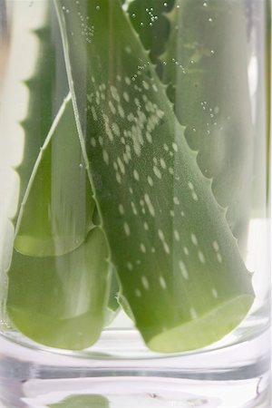 Aloe vera feuilles en verre d'eau Photographie de stock - Premium Libres de Droits, Code: 659-02213254