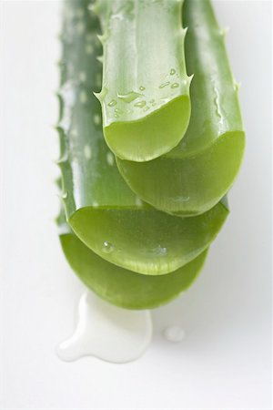 simsearch:659-06183712,k - Four Aloe vera leaves, in a pile Stock Photo - Premium Royalty-Free, Code: 659-02213253