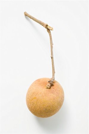 simsearch:659-02211094,k - Un longan sur tige Photographie de stock - Premium Libres de Droits, Code: 659-02213616