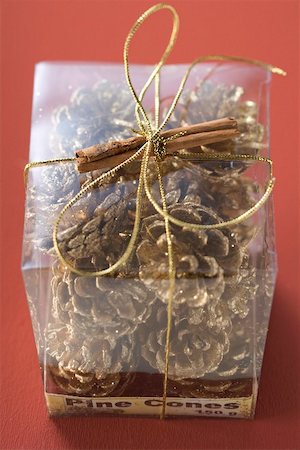 simsearch:659-03533706,k - Pine cones in plastic box to give as a gift Stock Photo - Premium Royalty-Free, Code: 659-02213659