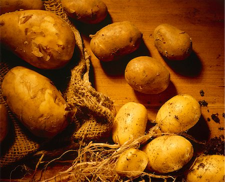 Pommes de terre nouvelles avec sol et jute sac Photographie de stock - Premium Libres de Droits, Code: 659-03524238