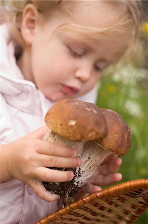 simsearch:659-03529776,k - Small girl putting ceps into a basket Stock Photo - Premium Royalty-Free, Code: 659-03524375