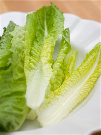 romaine - Romaine lettuce leaves on a white plate Stock Photo - Premium Royalty-Free, Code: 659-03524372