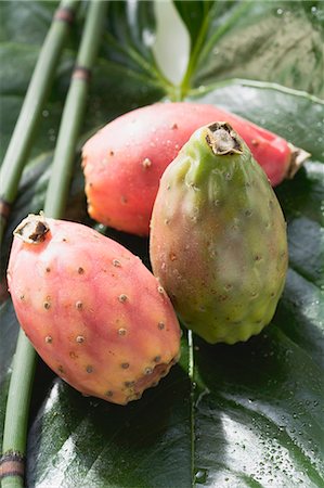 Three prickly pears on leaf Stock Photo - Premium Royalty-Free, Code: 659-03525975