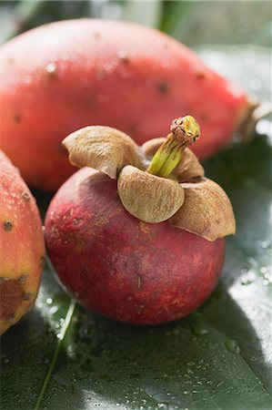 Mangosteen and prickly pears on leaf Stock Photo - Premium Royalty-Free, Code: 659-03525976