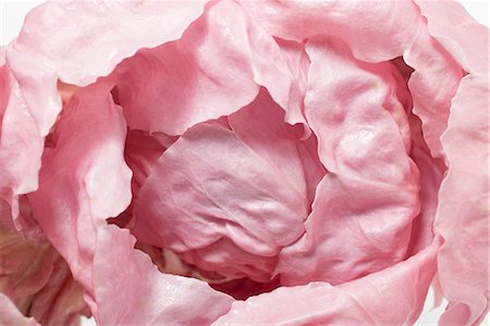 simsearch:659-03532848,k - Rose radicchio (vue aérienne) Photographie de stock - Premium Libres de Droits, Code: 659-03526093