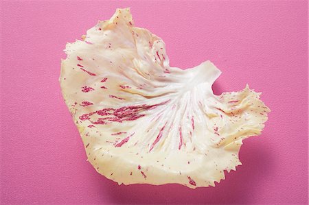 red endive - A radicchio leaf on pink background Stock Photo - Premium Royalty-Free, Code: 659-03526102