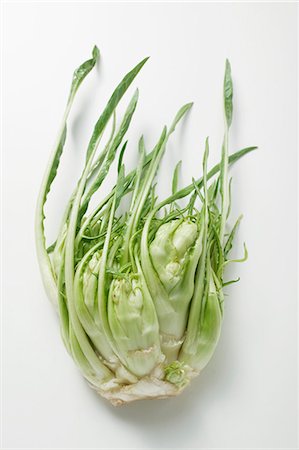 simsearch:659-01843507,k - Chicory (stem with leaves) Foto de stock - Sin royalties Premium, Código: 659-03526112