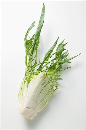 simsearch:659-01843507,k - Chicory (stem with leaves) Foto de stock - Sin royalties Premium, Código: 659-03526113