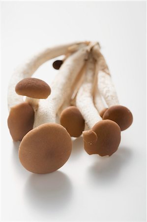 simsearch:659-03537806,k - Pioppini mushrooms (Italy) Foto de stock - Royalty Free Premium, Número: 659-03526237