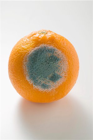 Mouldy orange Stock Photo - Premium Royalty-Free, Code: 659-03527555