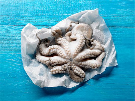 siba (tipo de molusco) - Octopus on paper on blue painted wooden background Foto de stock - Royalty Free Premium, Número: 659-03527819