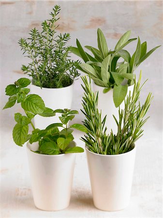 Assorted herbs in beakers Stock Photo - Premium Royalty-Free, Code: 659-03527825