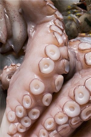 Fresh Cooked Octopus Tentacle Close Up Stock Photo - Image of