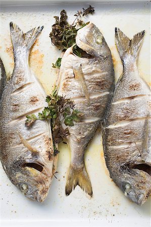 roasted fish - Roasted sea bream with parsley (overhead view) Stock Photo - Premium Royalty-Free, Code: 659-03528535