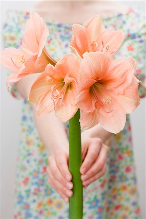 Woman holding salmon-pink amaryllis flower Foto de stock - Royalty Free Premium, Número: 659-03528645