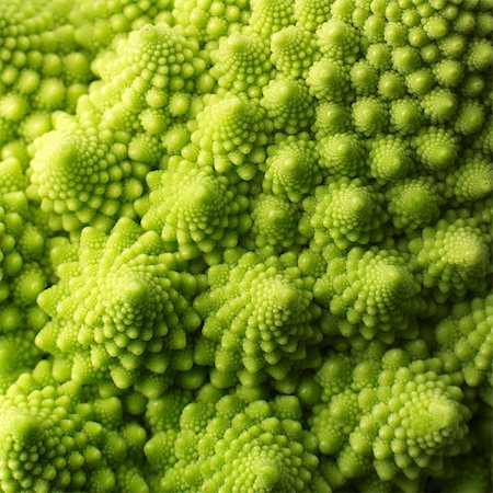 romanesco - Romanesco broccoli (full-frame) Stock Photo - Premium Royalty-Free, Code: 659-03528838