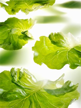 simsearch:659-06151105,k - Several lettuce leaves Stock Photo - Premium Royalty-Free, Code: 659-03528897