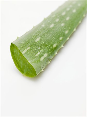 Feuille de l'Aloe vera Photographie de stock - Premium Libres de Droits, Code: 659-03528924