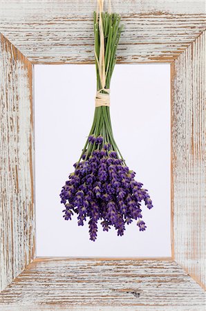 dried herbs - Lavender hanging up to dry Stock Photo - Premium Royalty-Free, Code: 659-03528991