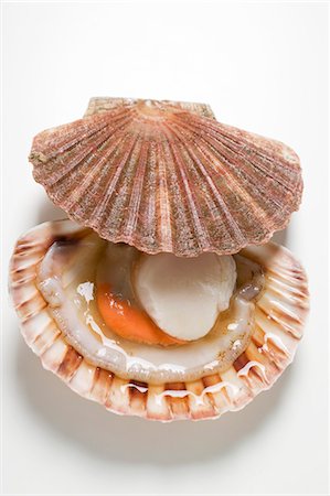 scallops - A scallop, opened Stock Photo - Premium Royalty-Free, Code: 659-03529131