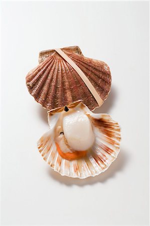 Fresh scallops Foto de stock - Royalty Free Premium, Número: 659-03529358