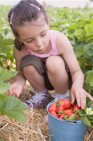 simsearch:659-01867277,k - Little girl picking strawberries in strawberry field Stock Photo - Premium Royalty-Free, Code: 659-03529775