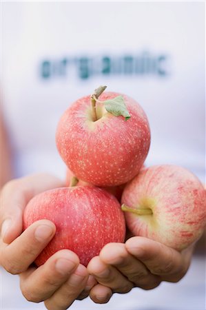 simsearch:659-06155323,k - Hands holding a few organic apples Foto de stock - Sin royalties Premium, Código: 659-03529784