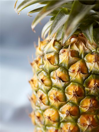 pineapple - Whole Pineapple; Close Up Stock Photo - Premium Royalty-Free, Code: 659-03521236